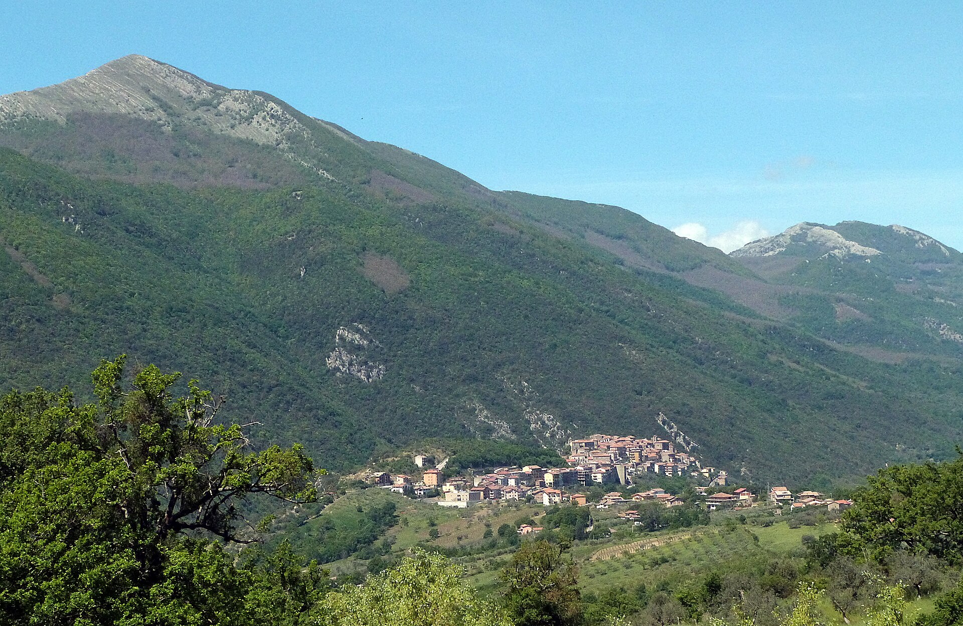 Felitto